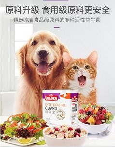 狗狗腹泻需要去医院吗 什么情况下可以给狗狗吃宠物肠胃宝