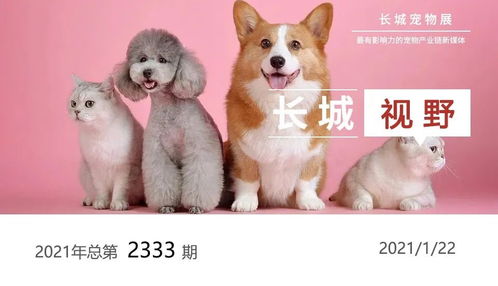 中国国际宠物水族用品展览会 最新资讯