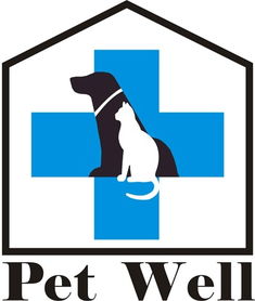 厦门专业宠物医院,贵宾美容,宠物针灸,狗皮肤病