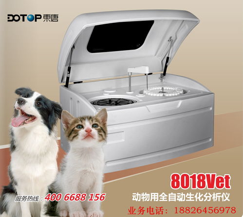 东唐dp 8018vet动物版全自动生化分析仪