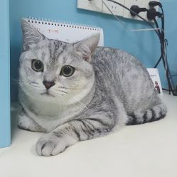 希望动物医院皇家转诊中心电话, 地址, 价格, 营业时间 宠物 武汉宠物