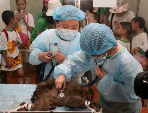 成都动物园夏令营一日游之“参观动物医院”