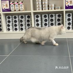 电话,地址,价格,营业时间 杭州宠物