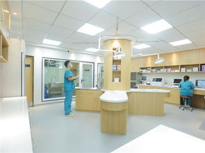 价格划算的武汉联合动物医院 武汉哪里有专业的武汉联合动物医院