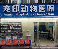 它时代领取地址- E宠商城