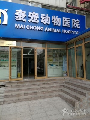 麦宠宠物医院-图片-北京宠物-大众点评网