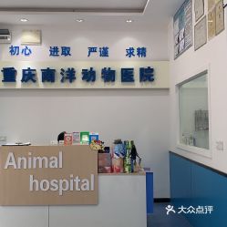 南洋动物医院