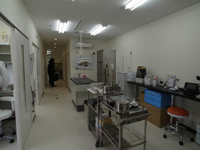 萩野设计工房works 动物病院(テナント)