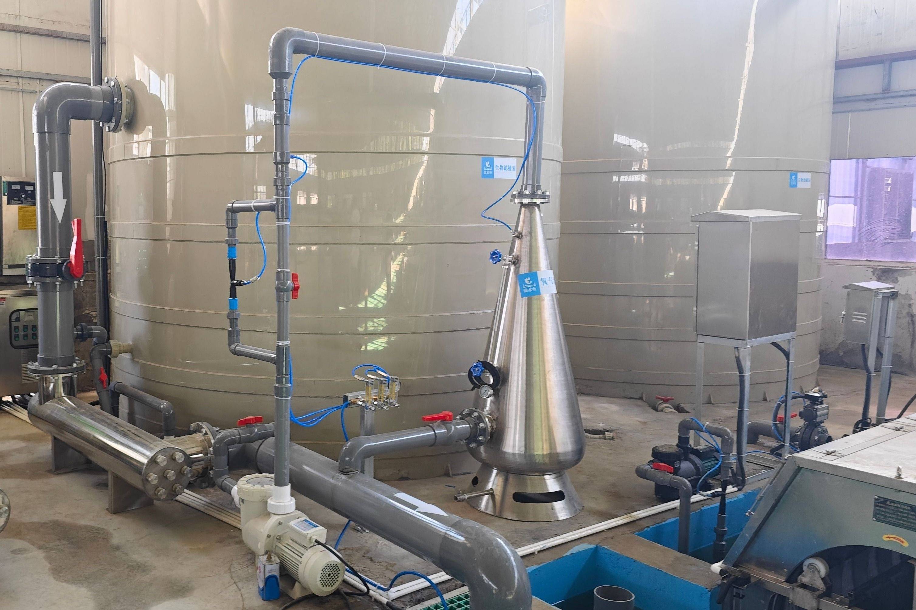 划重点!工厂化循环水系统如何让养殖更高效?_水产_饲料_动物