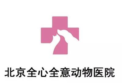 听旅行达人讲述:带狗旅行,探寻草原深处的万年火山