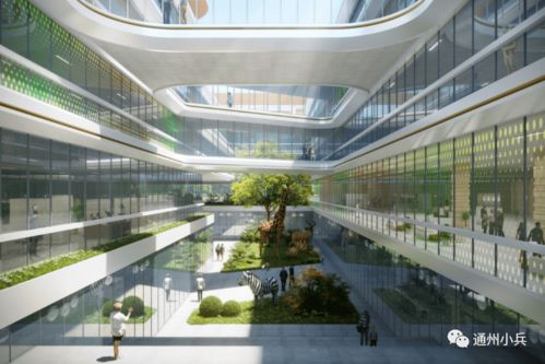 正式开工 城市副中心再添新医院 周边规划两条地铁