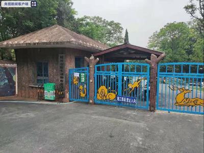 动物园饲养员遭老虎攻击死亡:初判其进笼时未确保隔离间锁住