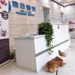 电话,地址,价格,营业时间 北京宠物