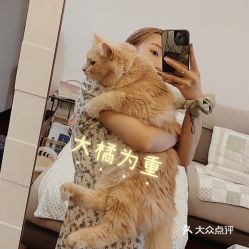 电话,地址,价格,营业时间 图 武汉宠物