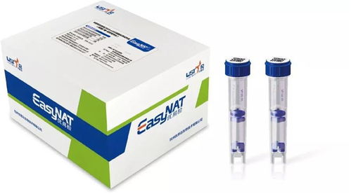 除了捐钱,面对疫情企业还能做哪些事情丨特辑4 疫情之下,科技向善从0到1