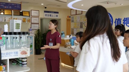沉浸体验宠物医疗场景,感受生命力量--新英才学子走进芭比堂动物医院