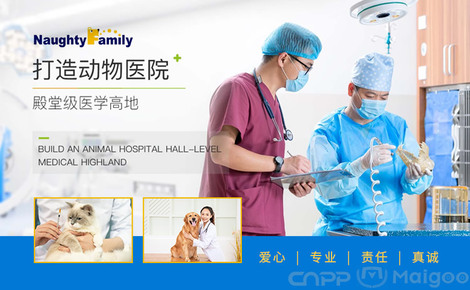【顽皮家族】品牌介绍→顽皮家族宠物店_顽皮家族宠物医院