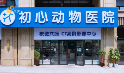 青岛初心动物医院获评“2024年度宠物诊疗服务示范医院”