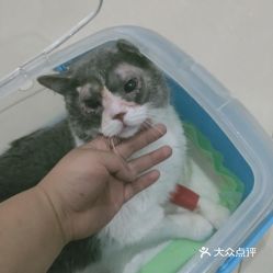 电话,地址,价格,营业时间 淮安宠物