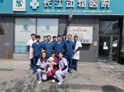 瑞派宠物医院告诉你最牛医院的正确打开方式!