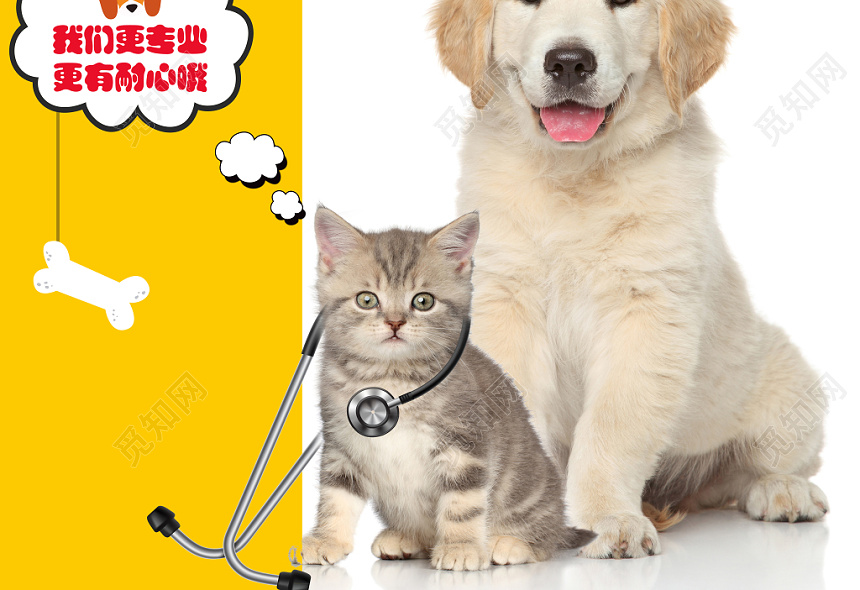 清新创意可爱卡通动物宠物医院海报