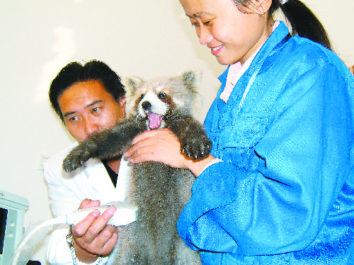 安徽野生动物 救助医院今开诊(图)