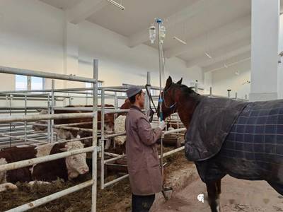 【为民服务】把幸福写在草原上--锡林郭勒盟阿巴嘎旗牧区现代化建设见闻