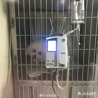 谐和益家动物医院(金牛店)