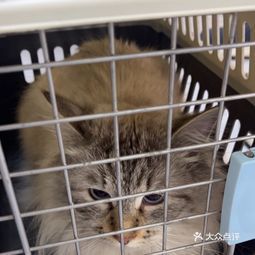 长江动物医院 大港店