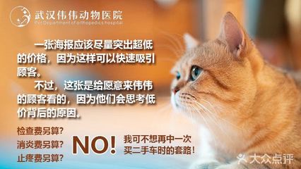 【武汉伟伟动物医院团购】