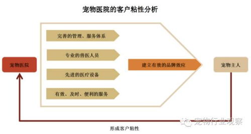 我国兽医服务行业发展前景观察