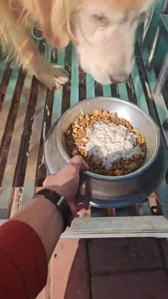 爱宠世家动物医院