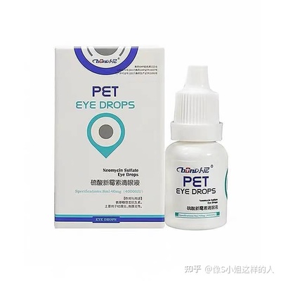 猫咪呕吐腹泻大作战