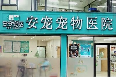 宠物医院连锁品牌排行榜 安安宠医上榜,第九实力雄厚