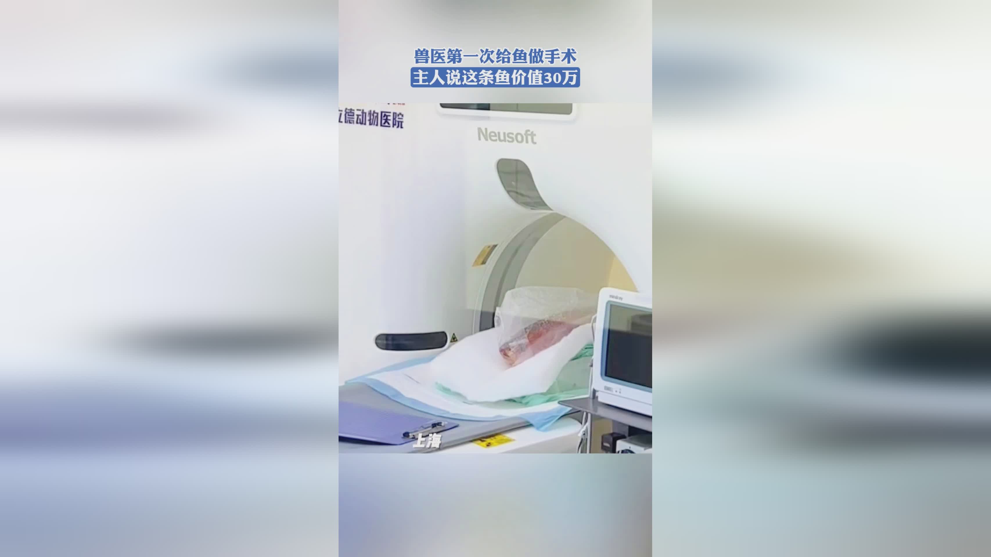 农业农村部公告 第531号:规范动物检疫工作,严格动物及动物产品运输监管,夯实动物疫病防控基础