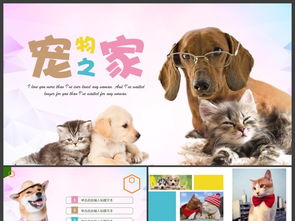 宠物狗宠物医院宠物食品ppt模板ppt下载 其他行业ppt大全 编号 17219850