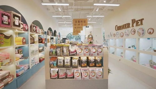 一站式服务打开宠物店经营新思路