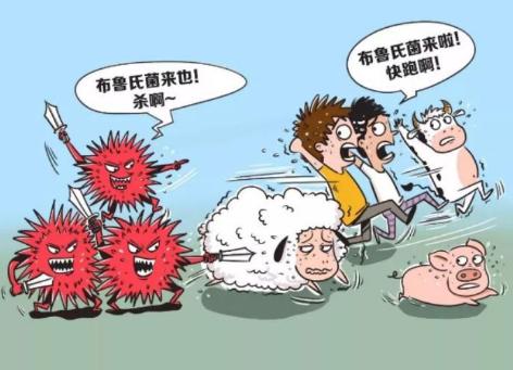 老人高烧一个月,辗转多家医院查不出病因,罪魁祸首是邻居家的羊(2)