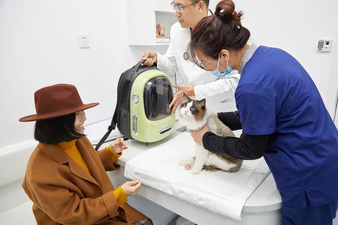 兽医 宠物医院 宠物医生 动物医生 动物医院 宠物看病 .