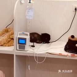 美联众合动物医院(望京西路分院)