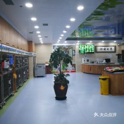 电话,地址,价格,营业时间 大连宠物