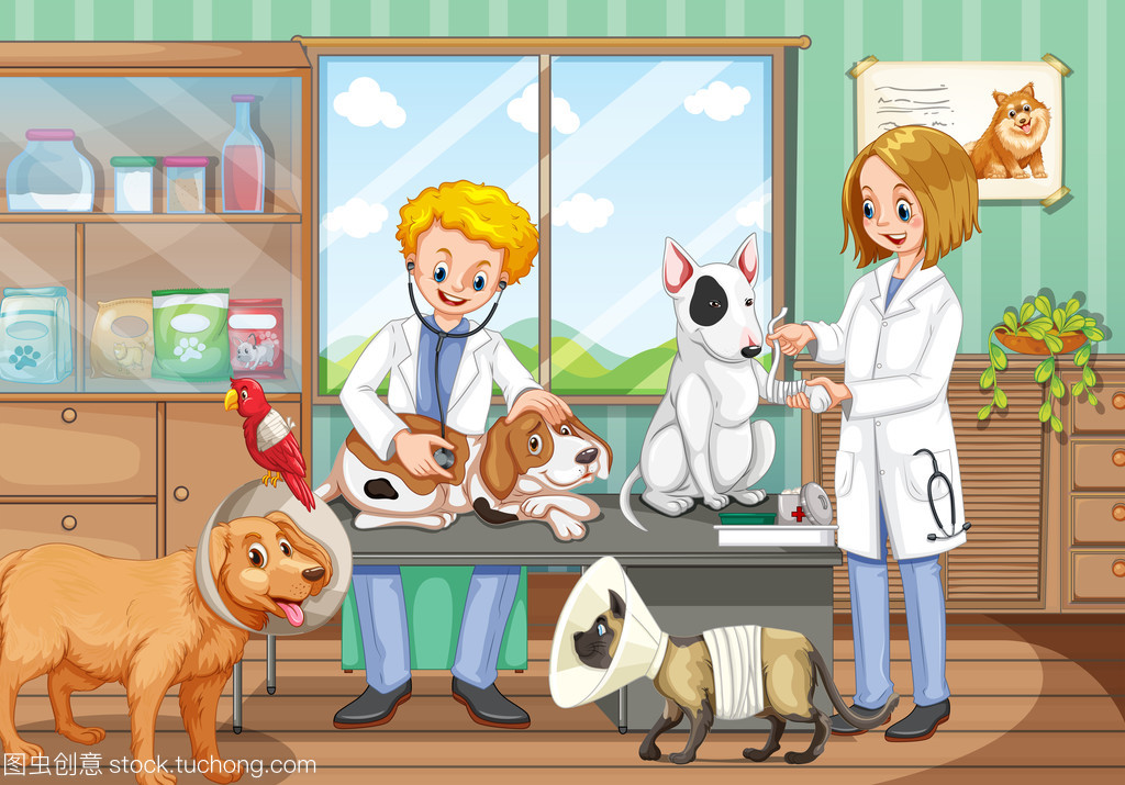 两个兽医在动物医院工作