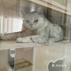 北京宠物动物医院指南 联系电话、地址、价格与营业时间