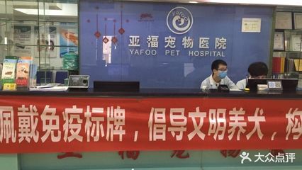 亚福荣丰动物医院 专业守护，健康伴侣