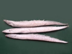 带鱼与宁波菜篮子配送中心 一线品牌助力全领域蔬菜配送