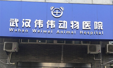 伟伟宠物医院