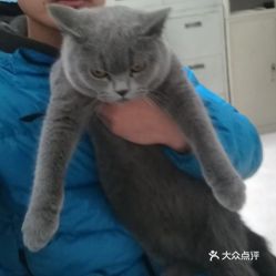 电话,地址,价格,营业时间 北京宠物