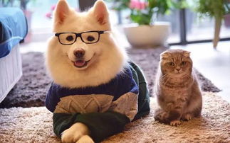 10天融资3亿 这些奇葩的共享经济你见过吗