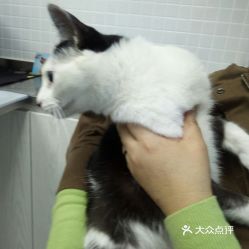 电话,地址,价格,营业时间 图 大连宠物