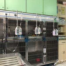 久康仁动物医院